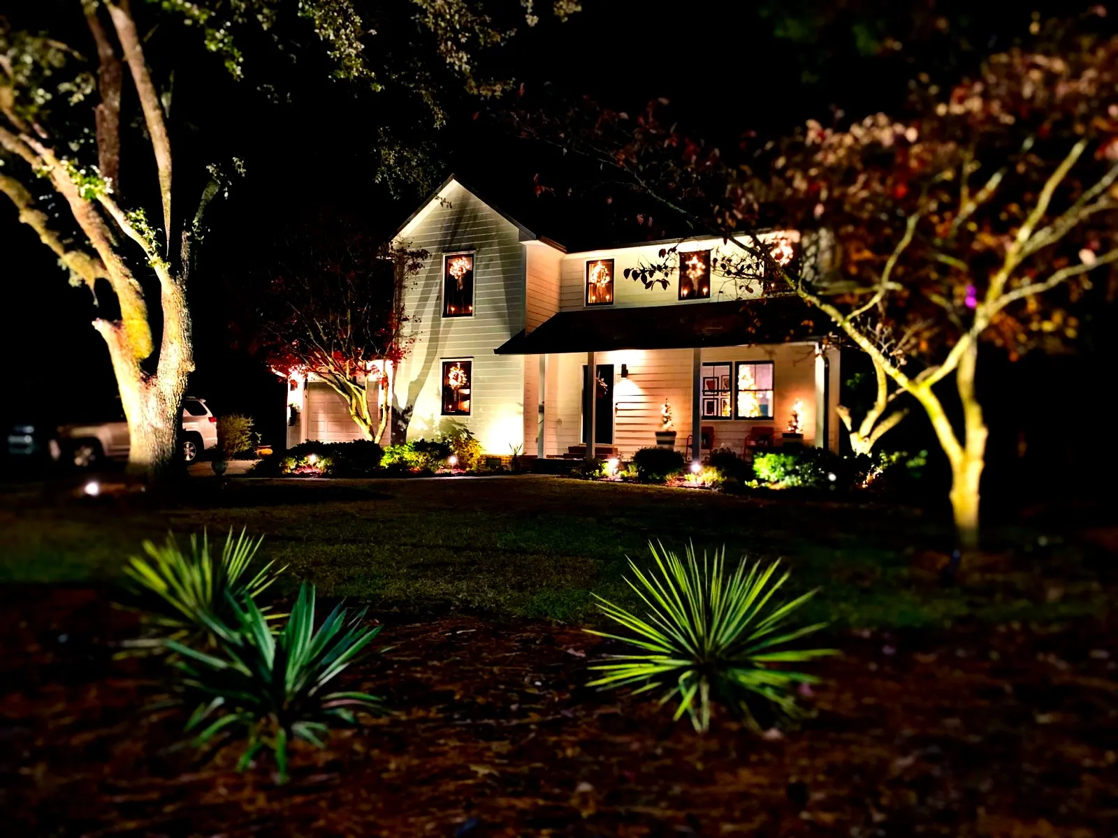 Dramatic tree uplighting and yard lighting Fayetteville NC